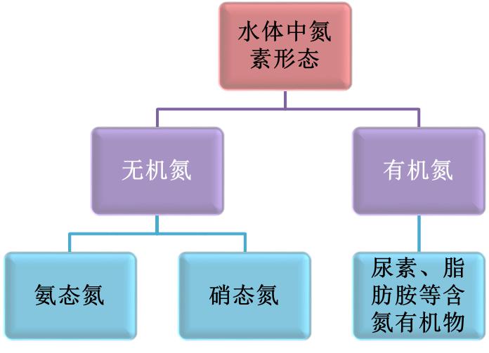 氮的不同形式