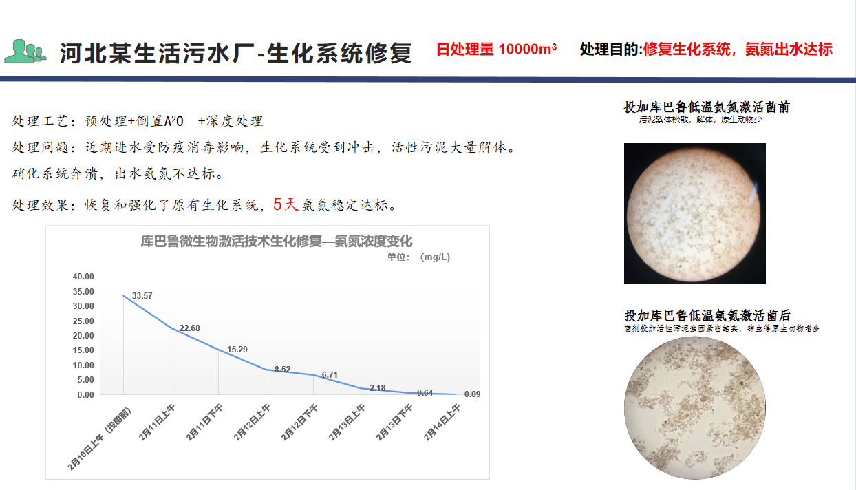 春節復工河北某生活污水廠生化系統修復